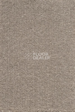 Ковролин AW Promenade 32 фото 1 | FLOORDEALER